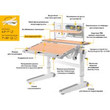 Детский стол Mealux Ergowood - L Multicolor  полка BD P-18 MG  арт.BD-810 MG/MC Energy   BD P-18 MG - столешница клен / накладки на ножках серые  коробок-3 шт.
